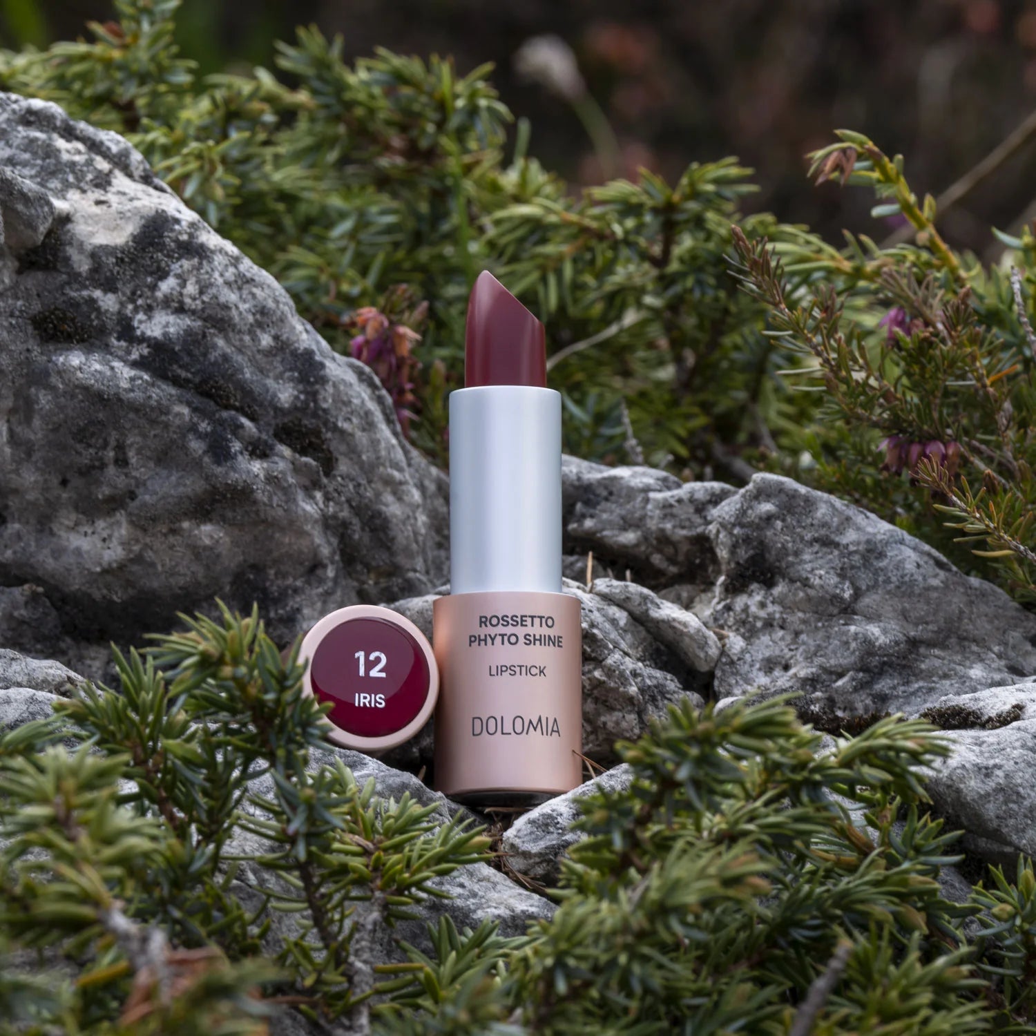 LIPPENSTIFT GLÄNZEND PHYTO SHINE 12 IRIS
