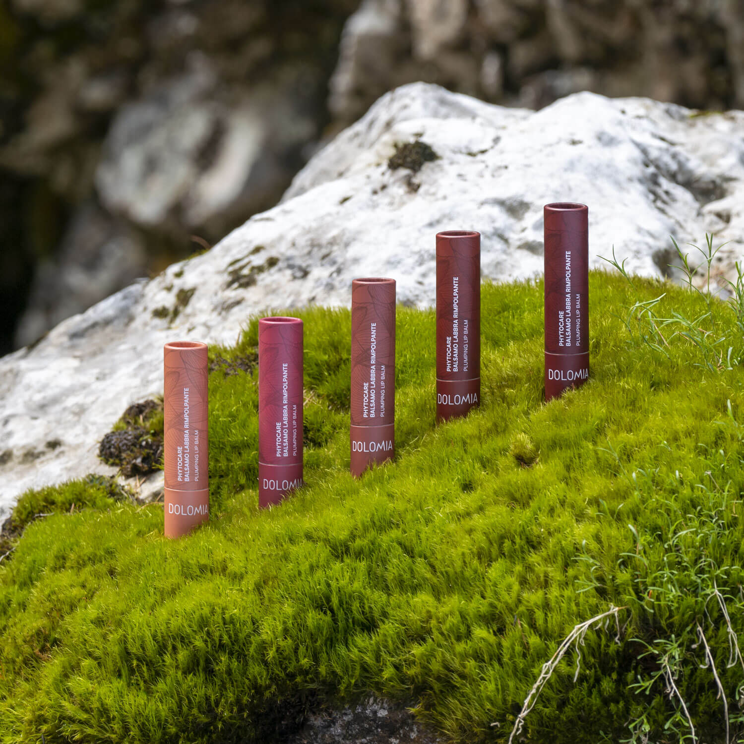 PHYTOCARE AUFPOLSTERNDER LIPPENPFLEGESTIFT 31 CLOE