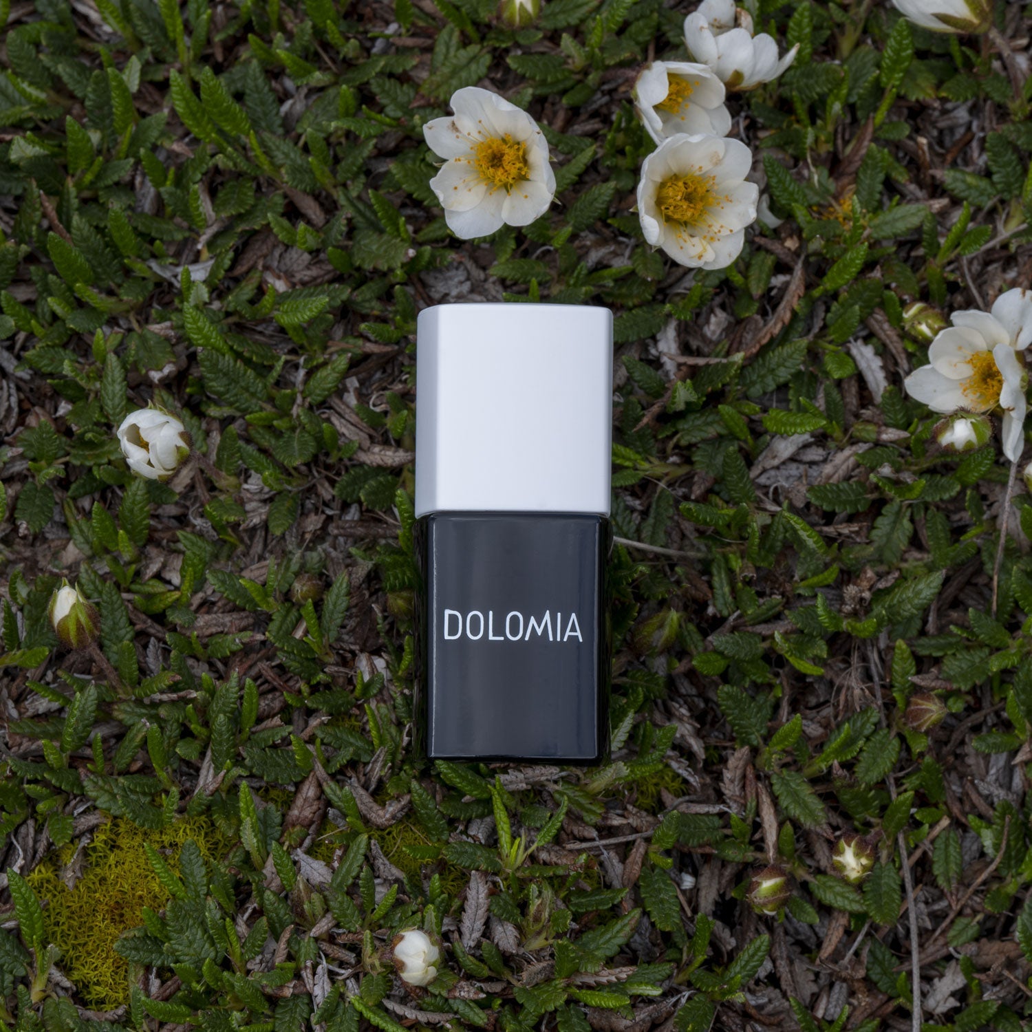 TOP COAT UV