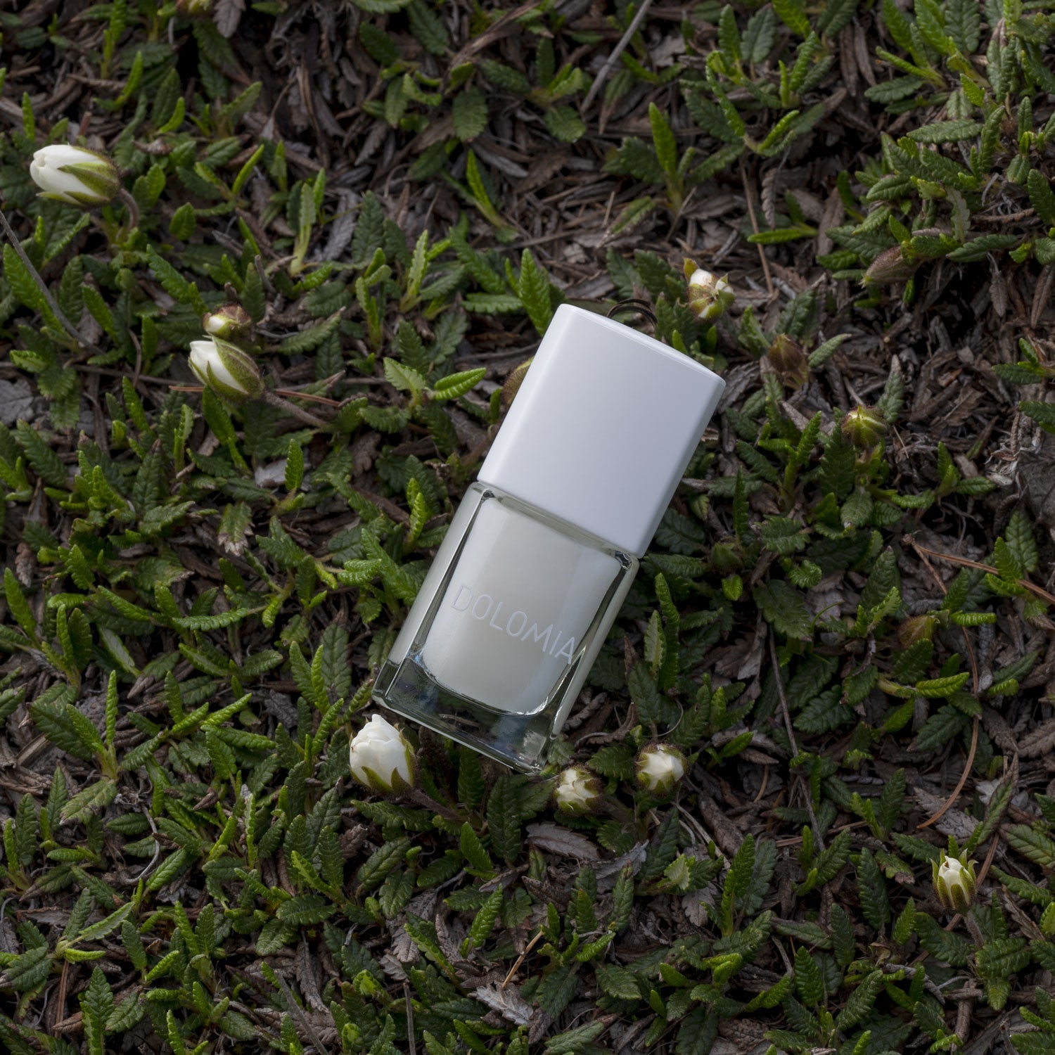 AUFHELLENDE NAGELLACKBASIS