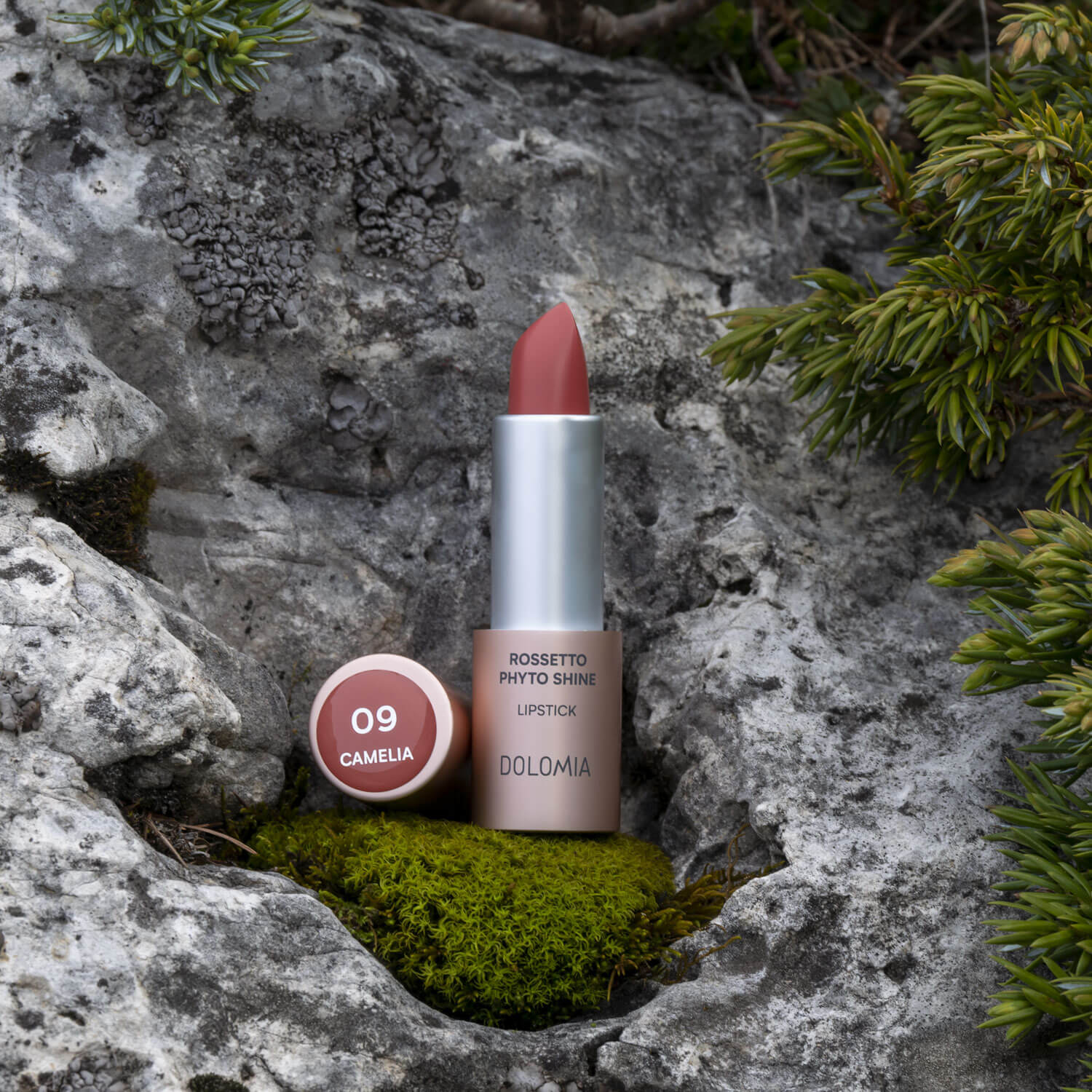 LIPPENSTIFT GLÄNZEND PHYTO SHINE 09 CAMELIA