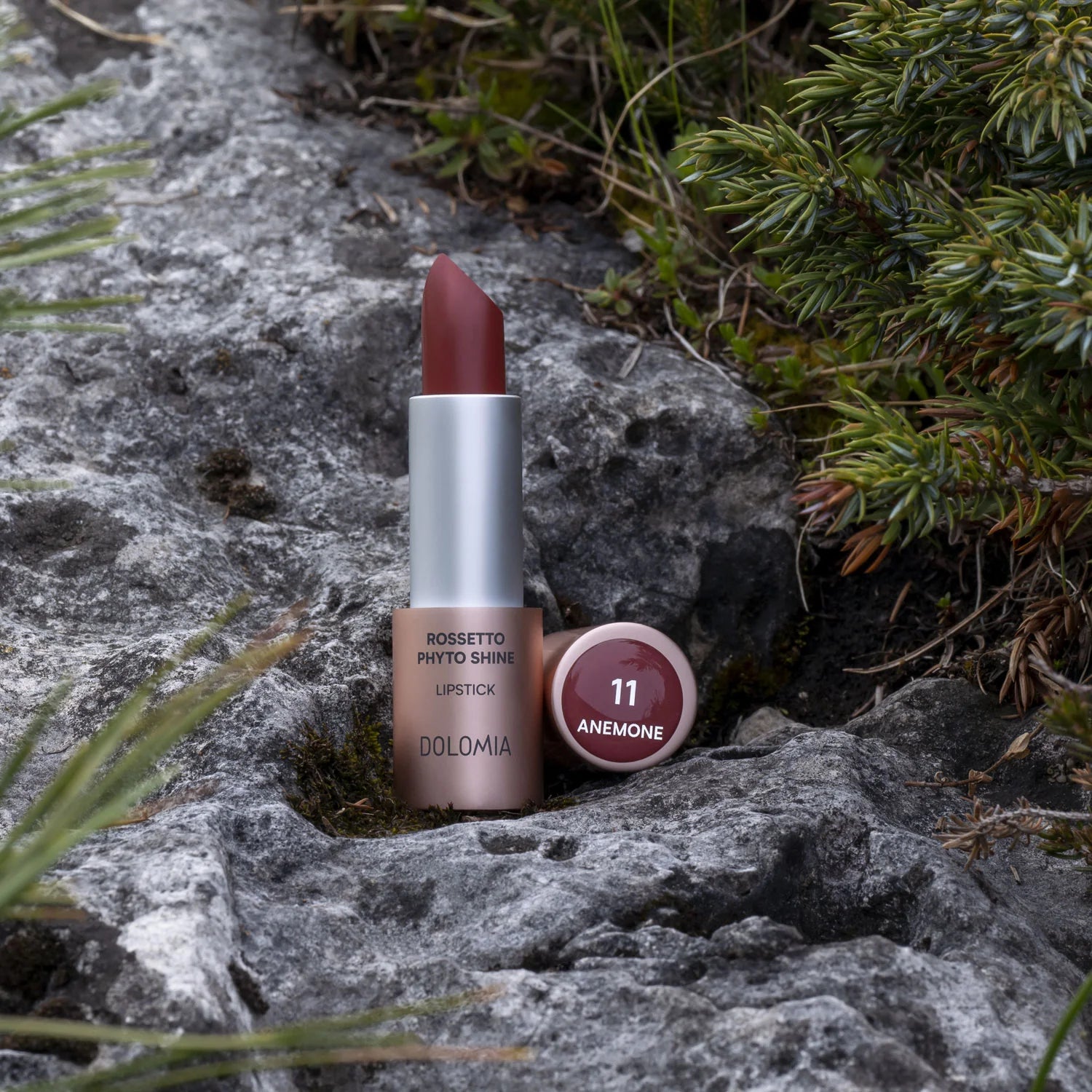 LIPPENSTIFT GLÄNZEND PHYTO SHINE 11 ANEMONE